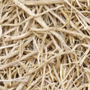 Angolan Vetiver
