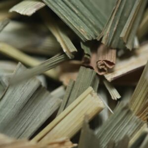 Indian lemongrass