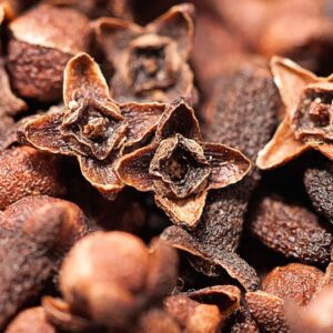 Clove Bud