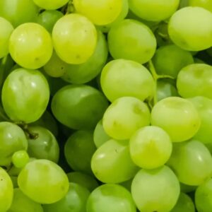 Grape Seed