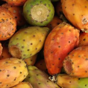 Prickly Pear Seed