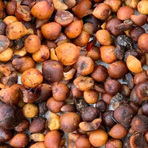 Tamanu