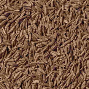 Caraway