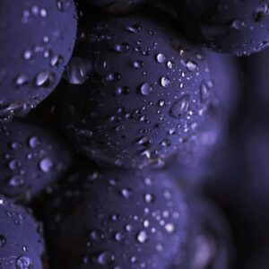 Grape seed
