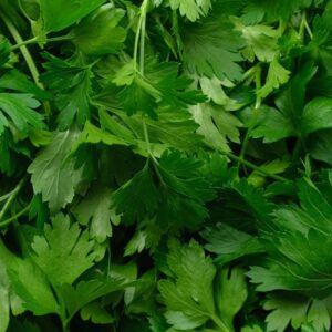 Parsley