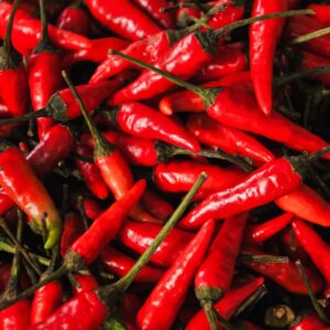 Red chili pepper
